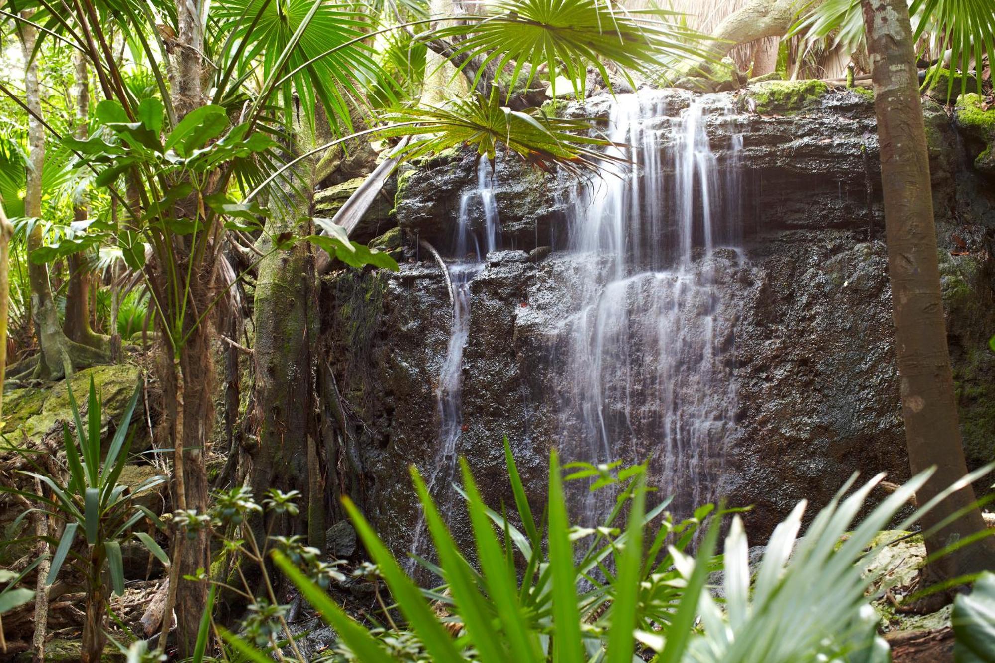 Viceroy Riviera Maya, A Luxury Villa Resort - Adults Only Exterior photo